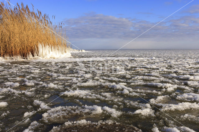 IJsselmeer