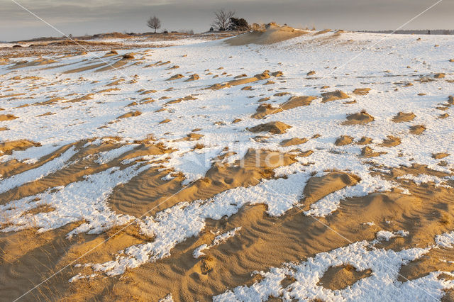 Kootwijkerzand