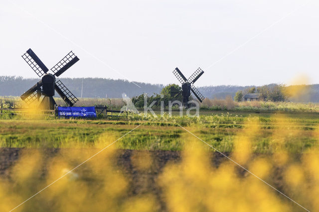 Lage land van Texel