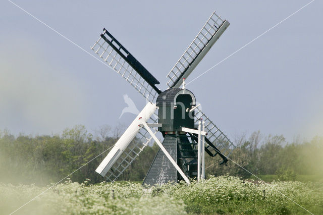 Lage land van Texel