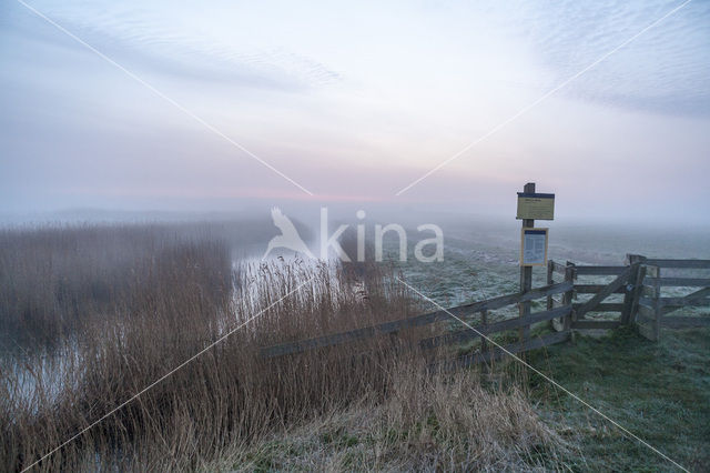 Lage land van Texel