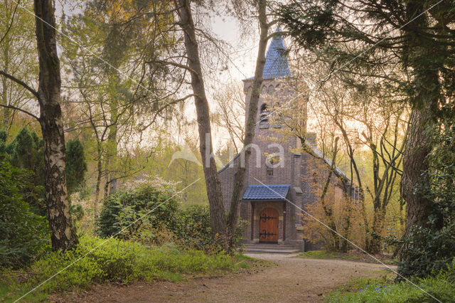 Landgoed Hoog Westerwolde