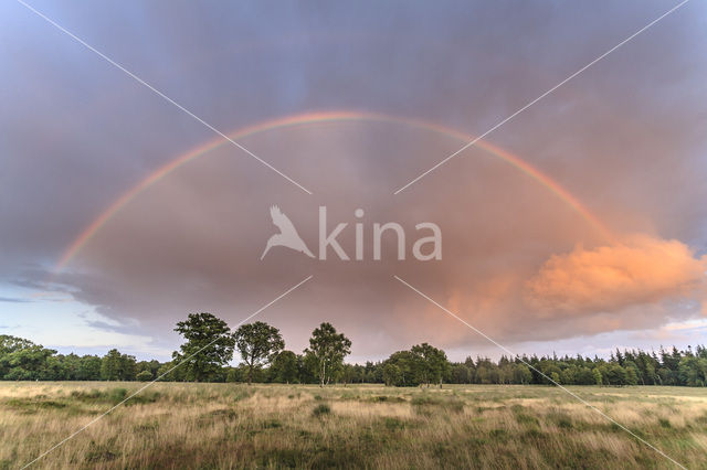 National Park De Hoge Veluwe