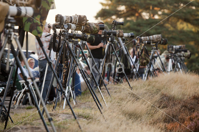 National Park De Hoge Veluwe