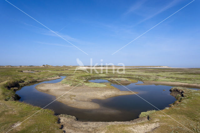 Nationaal Park Duinen van Texel