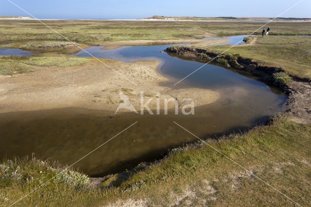 National Park Duinen van Texel