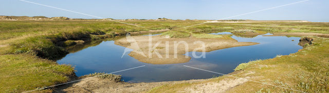 Nationaal Park Duinen van Texel