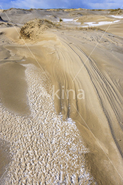 National Park Duinen van Texel