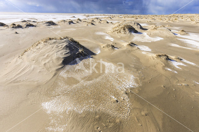 Nationaal Park Duinen van Texel