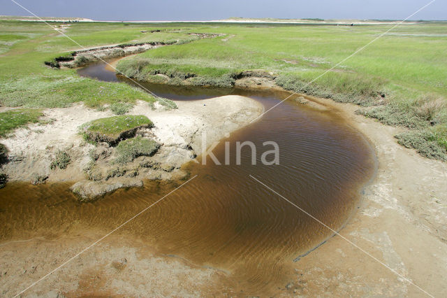 National Park Duinen van Texel