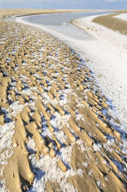 Nationaal Park Duinen van Texel