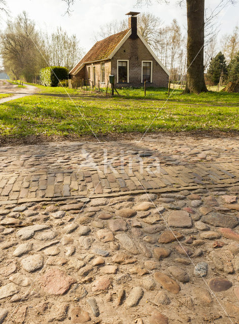 National Park Dwingelderveld