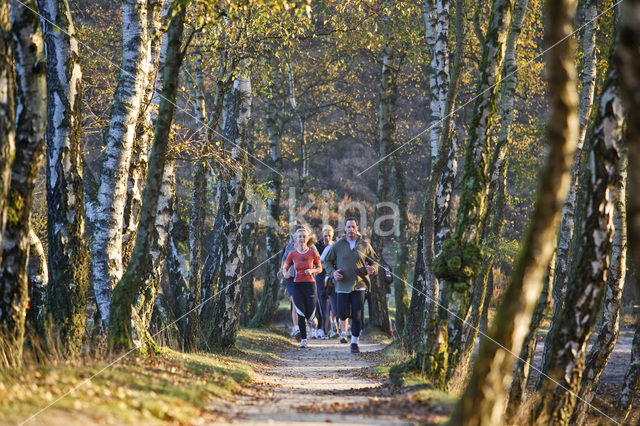 Nationaal Park Veluwezoom