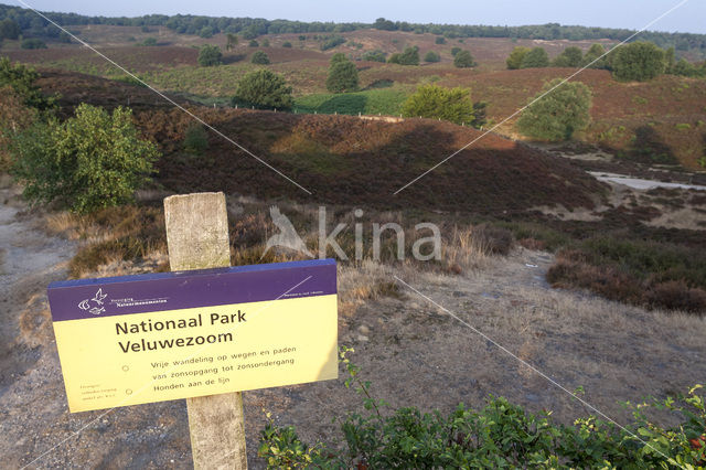 Nationaal Park Veluwezoom