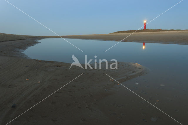 Noordzeestrand