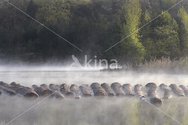 Veluwe