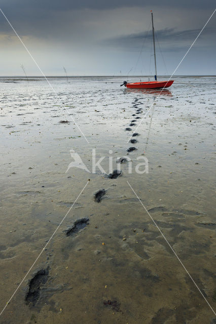 Waddenzee