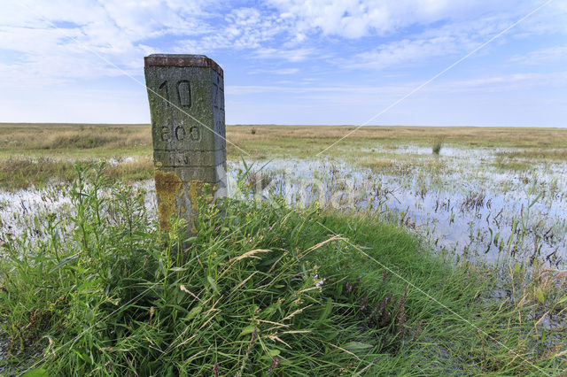National Park Schiermonnikoog