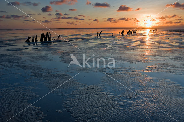 Wadden Sea