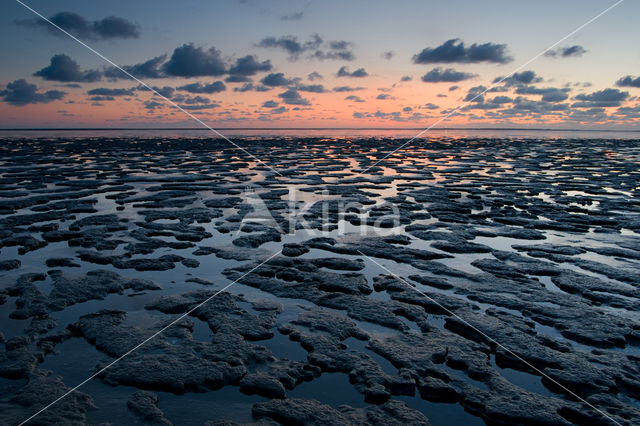 Wadden Sea