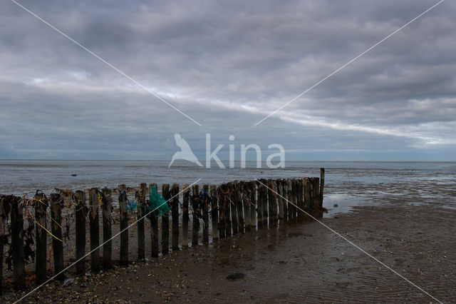 Waddenzee