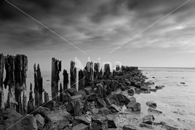 Wadden Sea