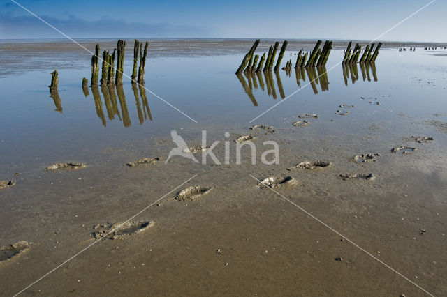 Waddenzee