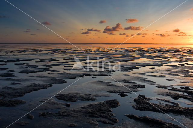 Waddenzee