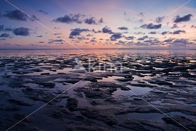 Waddenzee