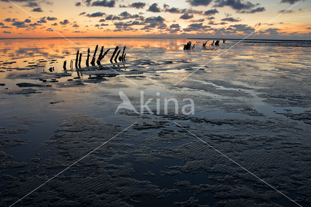 Waddenzee