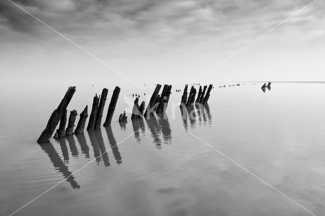 Wadden Sea