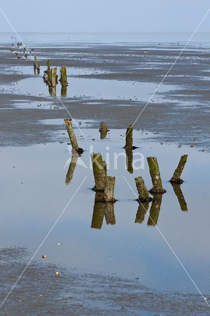 Wadden Sea