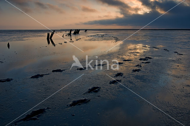 Waddenzee