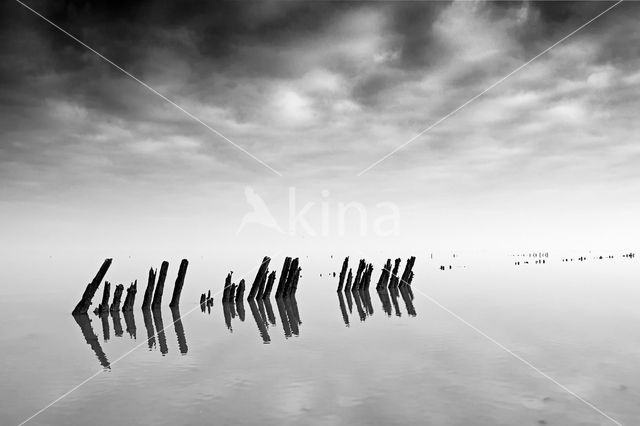 Wadden Sea
