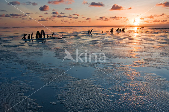 Wadden Sea