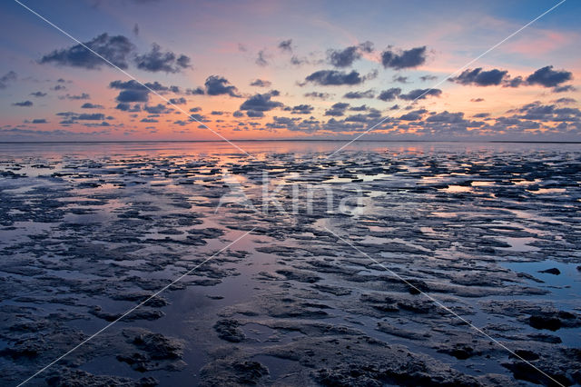 Wadden Sea