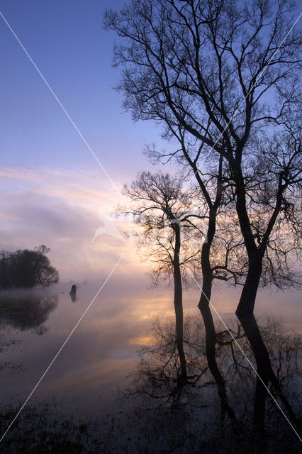 Biebrza National Park