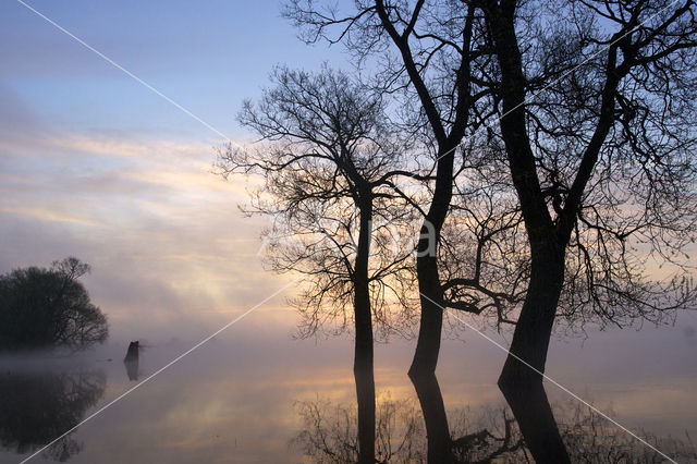 Biebrza National Park