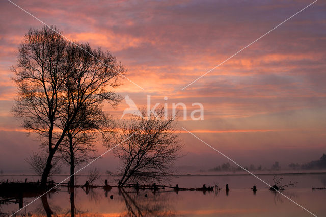 Biebrza National Park