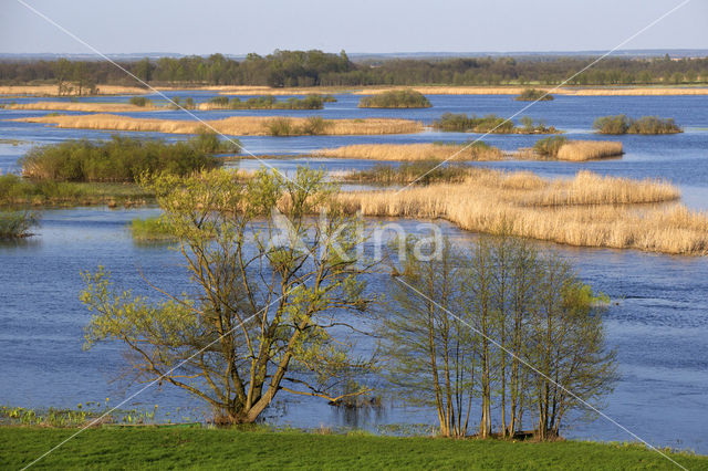 Biebrza National Park