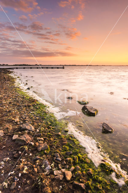 Grevelingenmeer