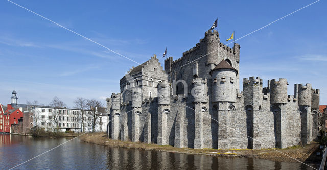 Castle of the counts