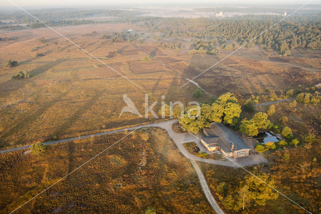 Hoog Buurlose Heide