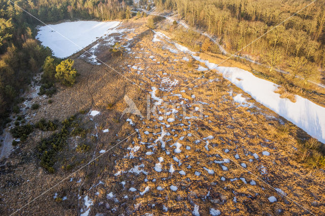 Kootwijkerveen