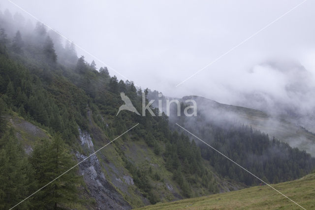 Mont Blanc de Courmayeur