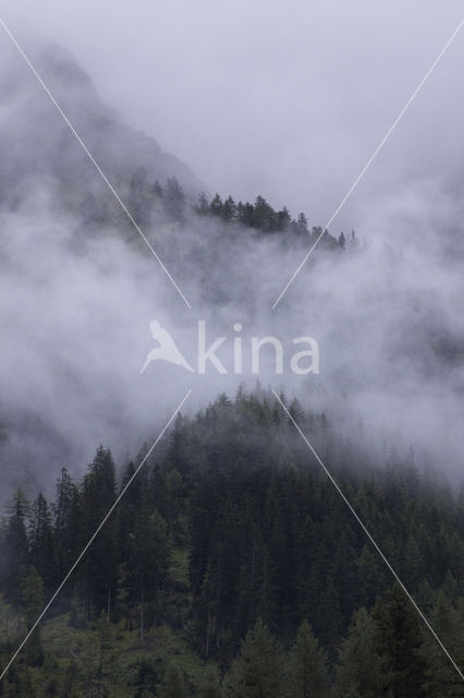 Mont Blanc de Courmayeur