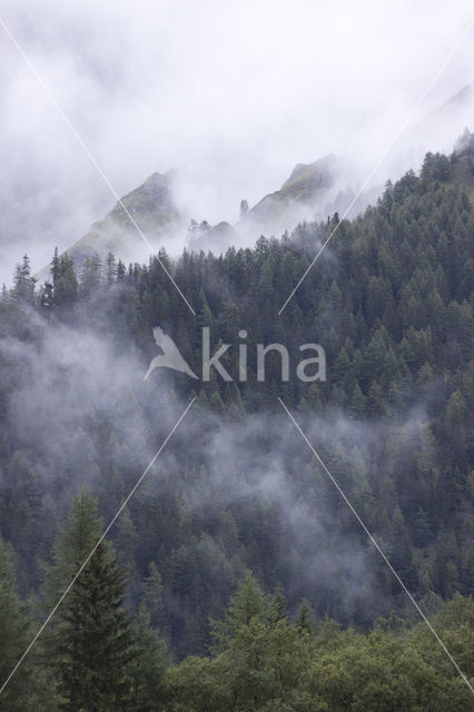 Mont Blanc de Courmayeur