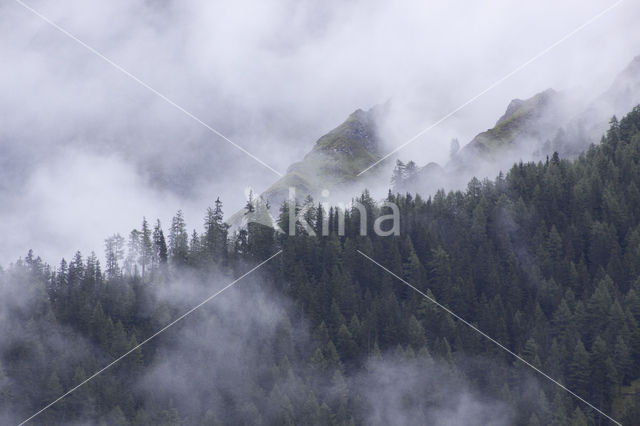 Mont Blanc de Courmayeur