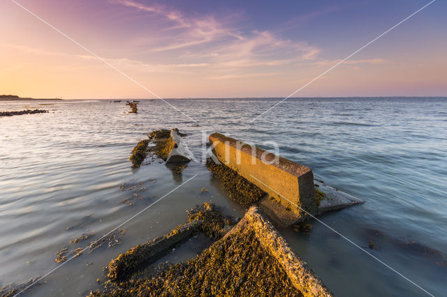 Nationaal Park Oosterschelde