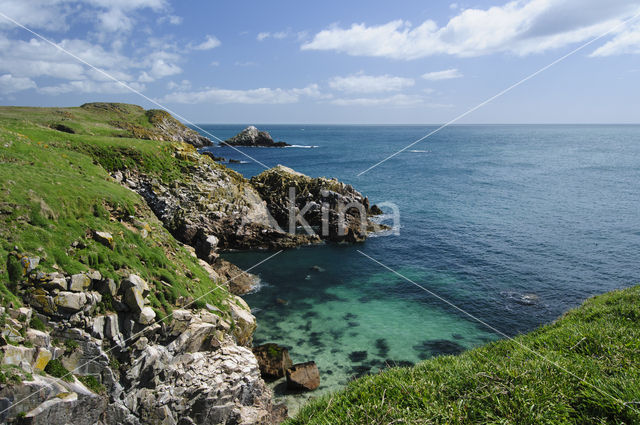 Saltee Islands